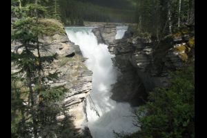 Athabasca Falls