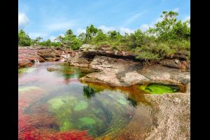 Caño Cristales