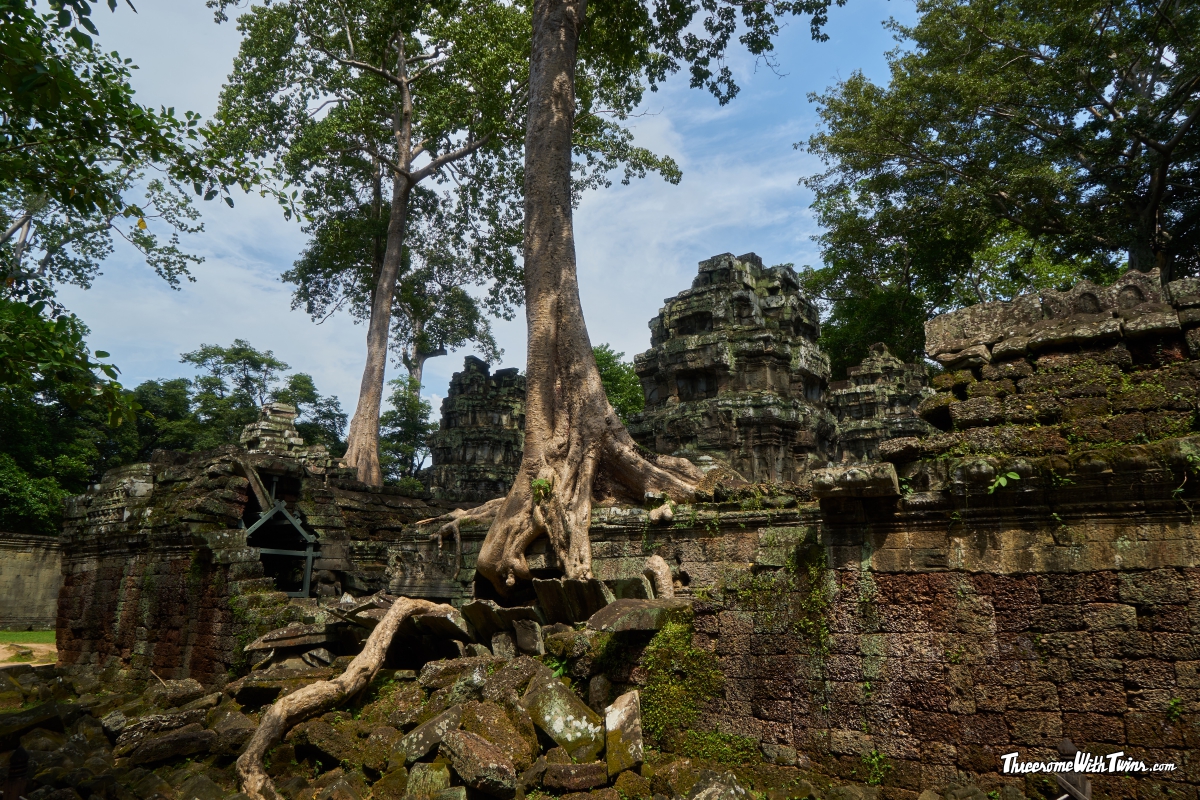 Реферат: The Lost Trees Essay Research Paper Gail Реферат: The Lost Trees Essay Research Paper Gail