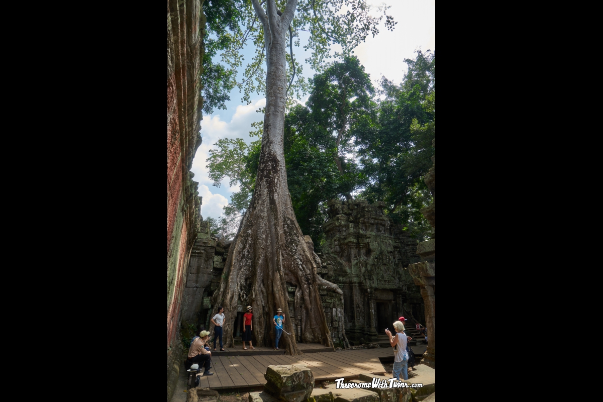 Реферат: The Lost Trees Essay Research Paper Gail Реферат: The Lost Trees Essay Research Paper Gail