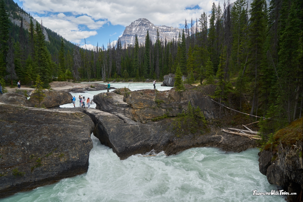 Реферат: National Park Service Essay Research Paper Topic Реферат: National Park Service Essay Research Paper Topic