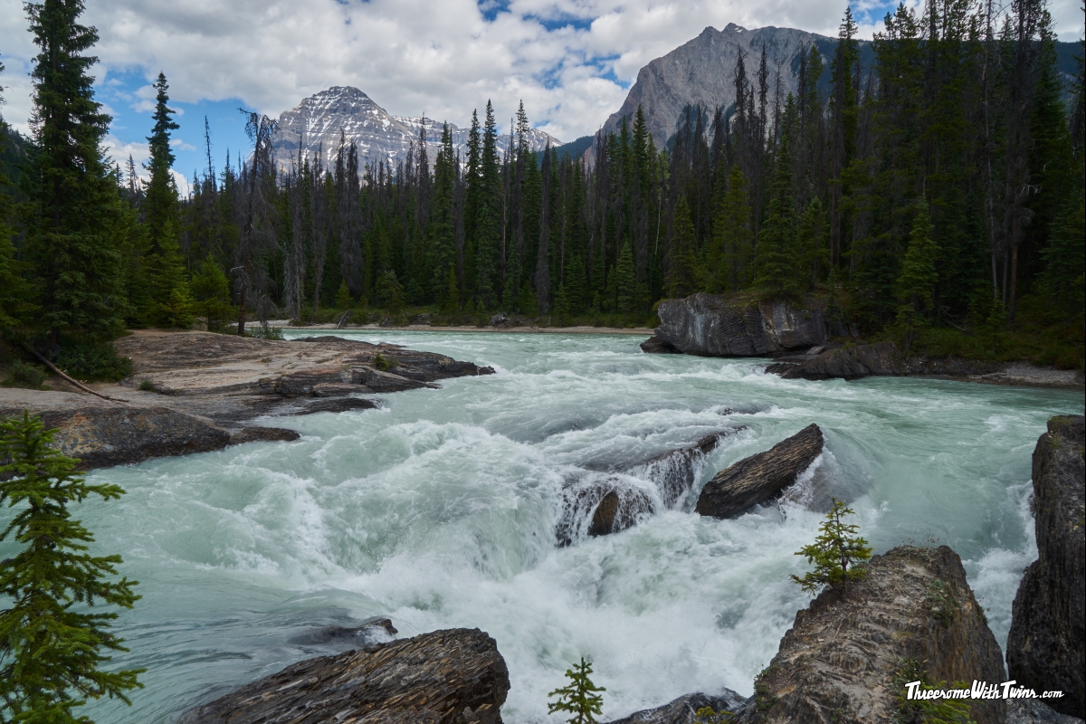 Реферат: National Park Service Essay Research Paper Topic Реферат: National Park Service Essay Research Paper Topic